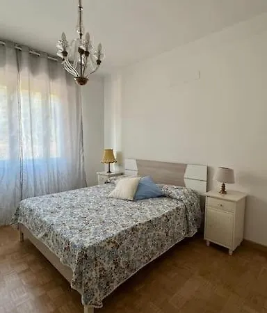 Lilium Solaro Daire Sanremo